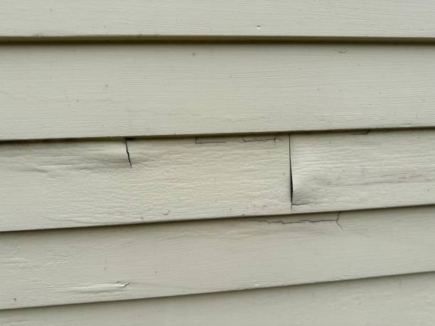 Best Same-Day Junk Removal Services  in Vivian, LA